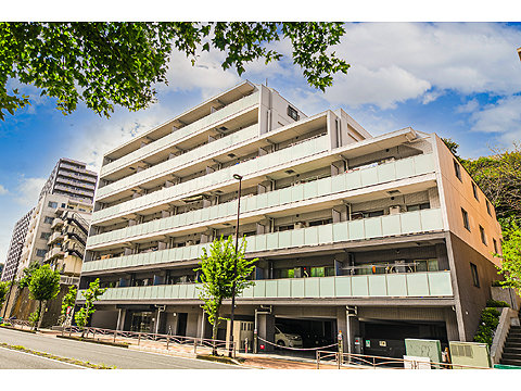 現地外観写真 マンション外観