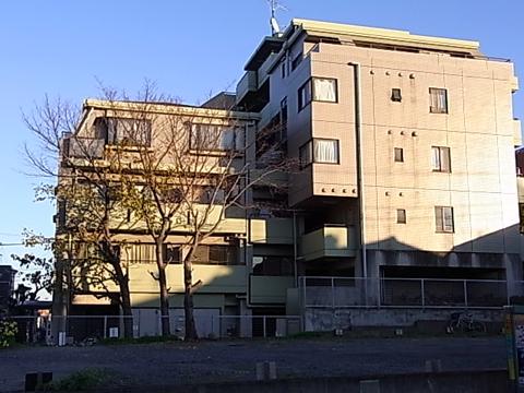 その他共用部 外観4