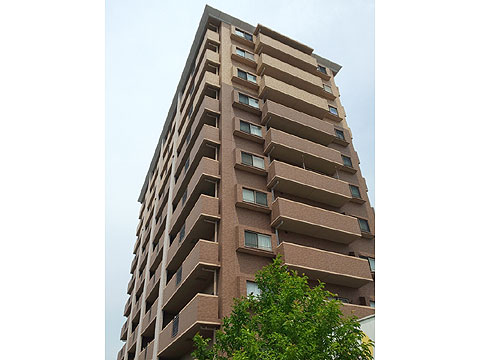 現地外観写真 エヌ・グランデ西長瀬外観