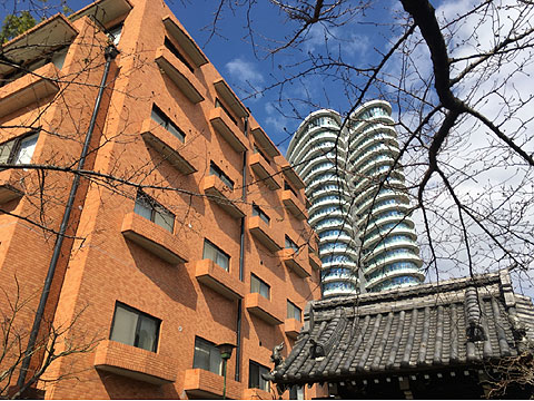 現地外観写真 外観3