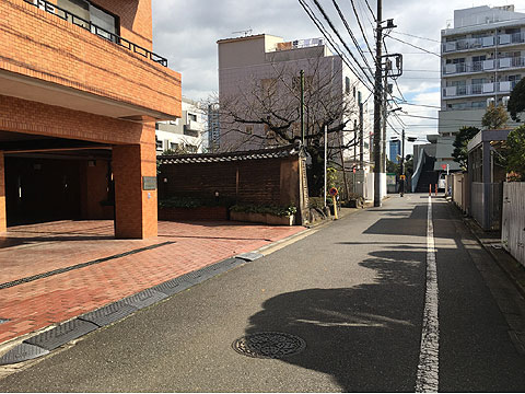 現地外観写真 前面道路