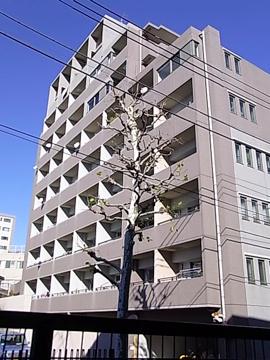 その他共用部 外観2