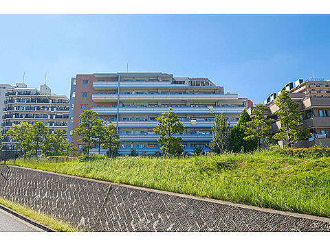 現地外観写真　外観6