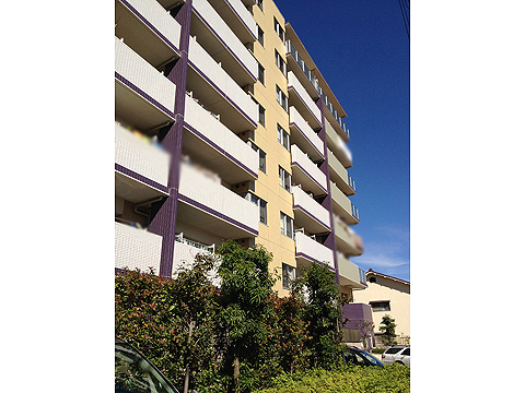 その他共用部 外観3