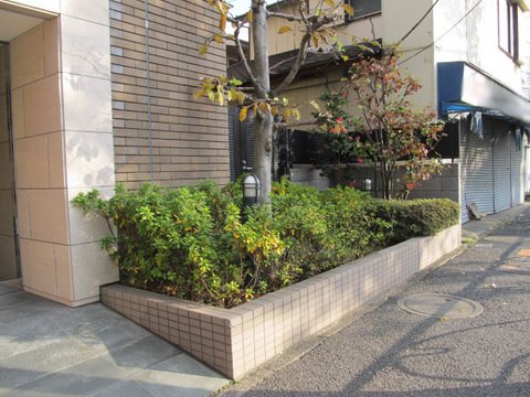 その他共用部 写真1