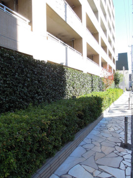 その他共用部　写真2