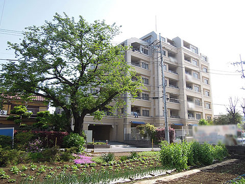 その他共用部 外観2