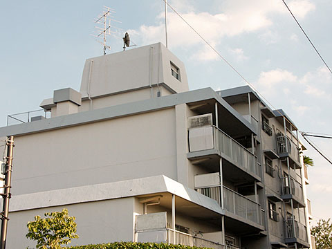 その他共用部　外観4