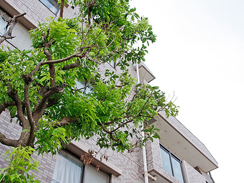 その他共用部　外観2