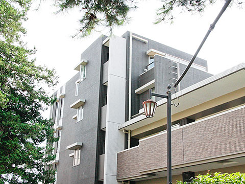 その他共用部 外観3