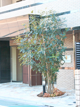 その他共用部　写真2