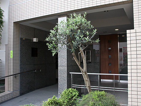 その他共用部 エントランス2