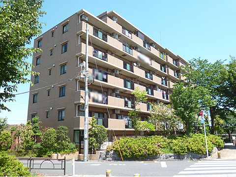 現地外観写真 タイル貼りのスタイリッシュな外観