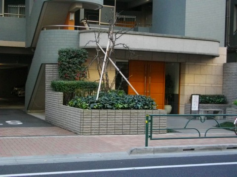 その他共用部 エントランス2