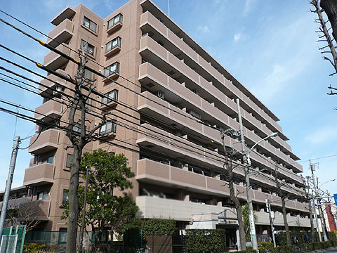 現地外観写真 外観