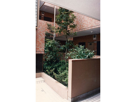 その他共用部　中庭