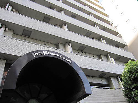 現地外観写真 外観