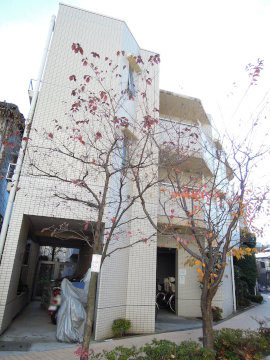 その他共用部　外観2