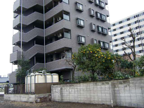 その他共用部 外観6