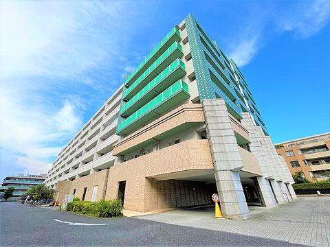 現地外観写真 編集西側外観②