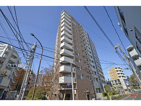 現地外観写真 外観