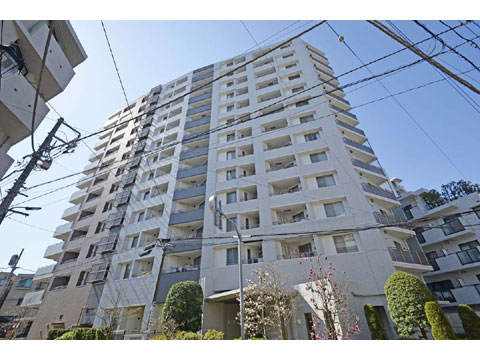 現地外観写真 外観