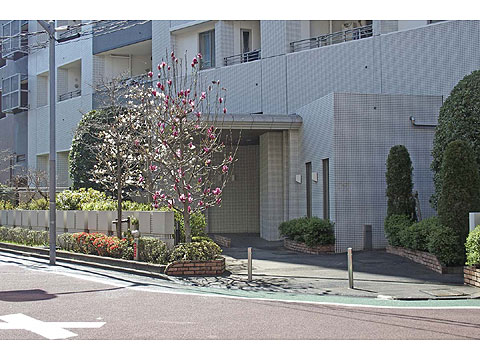 エントランス エントランス