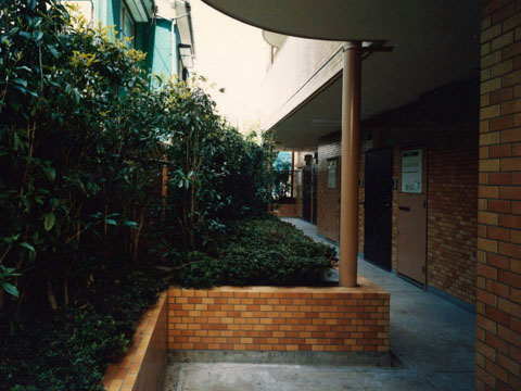 その他共用部 廊下1