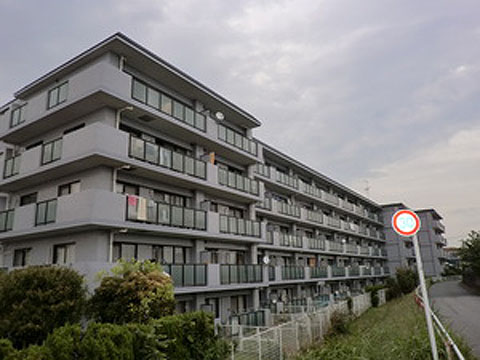 現地外観写真 外観