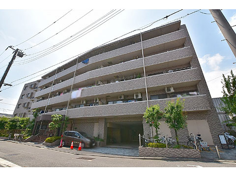 現地外観写真 外観