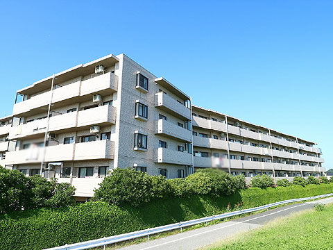 現地外観写真 建物外観