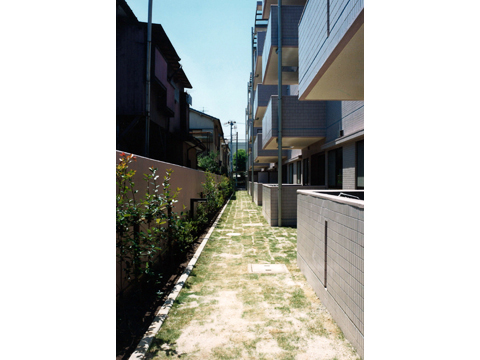 その他共用部 外溝