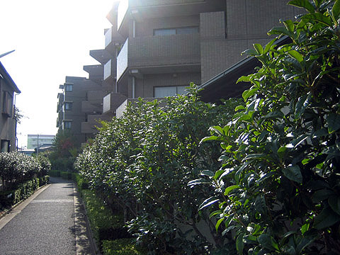 その他共用部 外観6