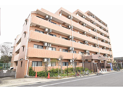 現地外観写真 外観