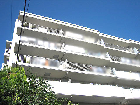 現地外観写真 外観6