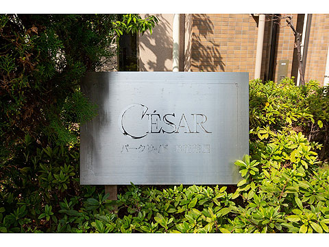 現地外観写真 IMG_0001