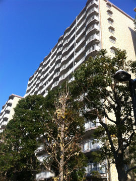 その他共用部 外観7