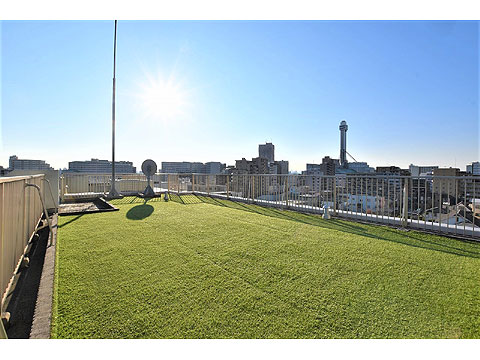 その他共用部 屋上:北側人工芝