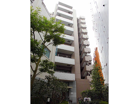 現地外観写真 外観