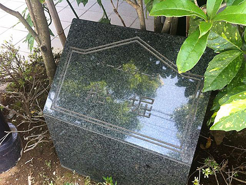 その他共用部　写真1