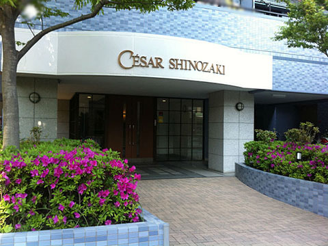 その他共用部 エントランス1