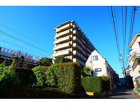 現地外観写真 外観