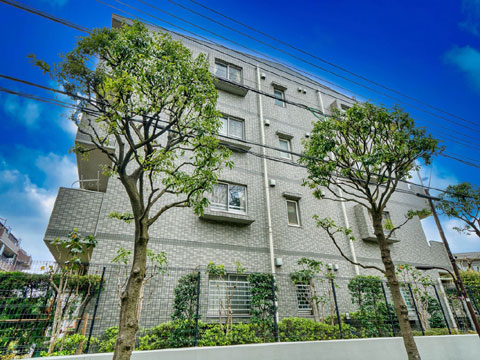 現地外観写真 現地