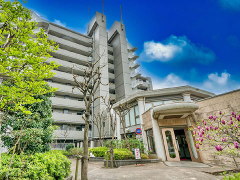 現地外観写真 外観