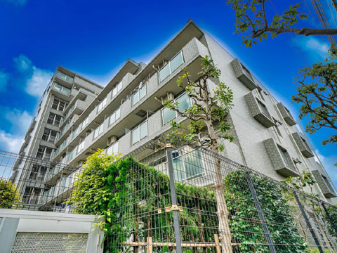 現地外観写真 概案