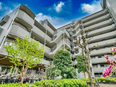 現地外観写真 外観