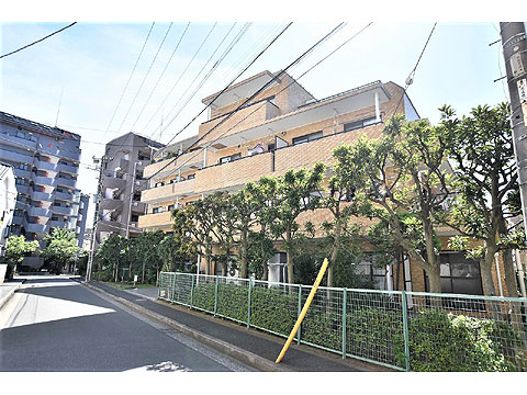 現地外観写真 外観