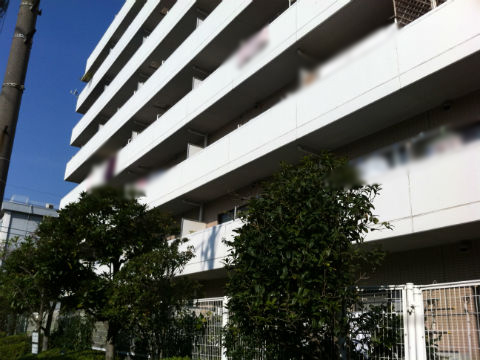 その他共用部　外観2