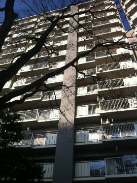 その他共用部 外観5