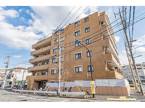 現地外観写真 外観